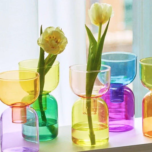 Soliflores Verre Bicolore